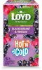 Augļu tējas dzēriens LOYD HOT&COLD upeņu un hibiska garša, 15x2g