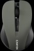 Canyon MW-1 Wireless, Grey
