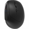 Canyon MW-25 Ergonomic LED AA Dual mode Wireless, Black