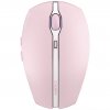 Cherry Gentix BT,,Cherry Blossom