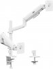 Ergo Office Mount for 2 Monitors, 17-32"