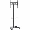 Gembird TV floor stand, 32-55"