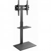 Gembird TV floor stand, 32-55"
