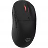 Genesis Zircon XIII, Black