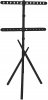 Maclean TV Floor Stand, 37–80"