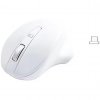 Matias Wireless USB-C P ro Mouse White