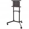 Newstar Mobile Monitor/TV Floor Stand, 37-70"