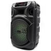 Squeak KARAOKE SPEAKER PULSETOWER BT 5.3 + EDR SQ1006