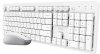 Trust Computer ODY II WL KEYBOARD  MOUSE WHT DE
