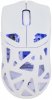 White Shark DAGONET-W