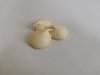 Zefīrs ADUGS Torņu ar aprikožu garšu jogurta glazūrā, 1.5kg