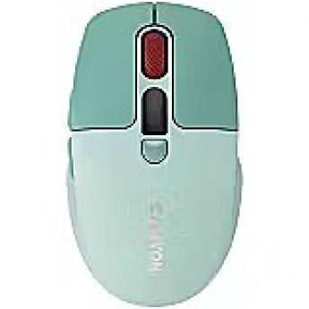 Canyon mouse MW-26 LCD Silent Dual Mode Wireless Green