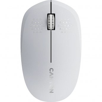 Canyon MW-04, White