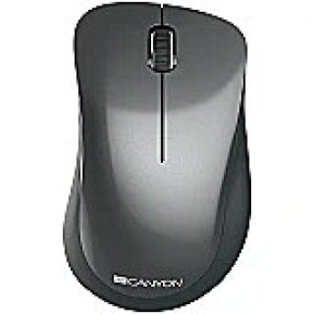 Canyon MW-11, Grey