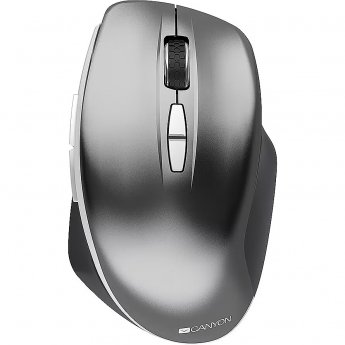 Canyon MW-21, Gray
