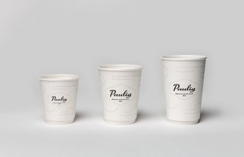 Glāzes PAULIG Take Away, 250ml, 80gab