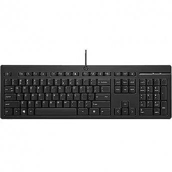 Hewlett Packard 125 G2 USB Wired Keyboard, Sanitizable, Copilot Key - Black - US ENG