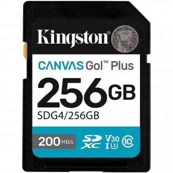 Kingston Canvas Go, 256GB SDXC