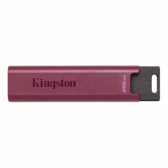 Kingston Max, 256GB, Violet