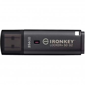 Kingston MEMORY DRIVE FLASH USB3.2/256GB IKLP50G2/256GB