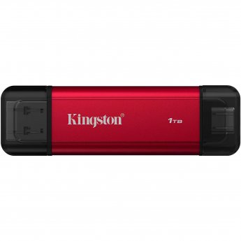 Kingston SSD DualPortable 1TB