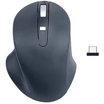Matias Wireless USB-C P ro Mouse Black