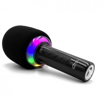 Media-Tech Karaoke Microphone with bluetooth speaker MT399