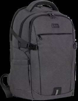 Natec Alpaca 2 backpack, 15.6", Grey