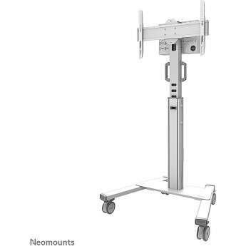 Newstar Mobile floor stand, 37-75"
