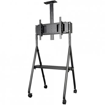 Newstar Mobile Monitor/TV Floor Stand, 32-65"