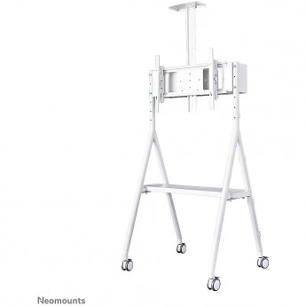 Newstar Mobile Monitor/TV Floor Stand, 32-65"
