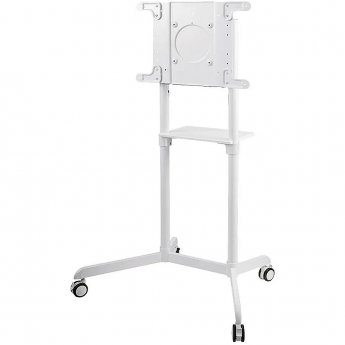 Newstar Mobile Monitor/TV Floor Stand, 37-70"