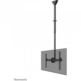 Newstar TV ceiling mount, 37-70"