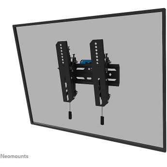 Newstar TV Wall mount, 24-55"