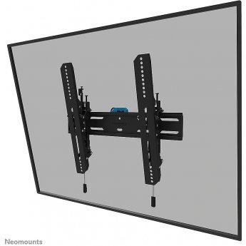 Newstar TV Wall mount, 32-65"