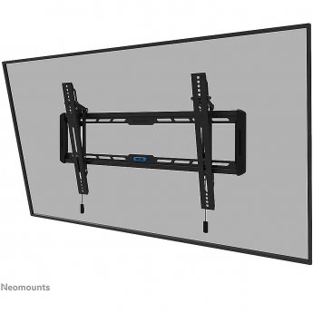 Newstar TV Wall mount, 42-75"