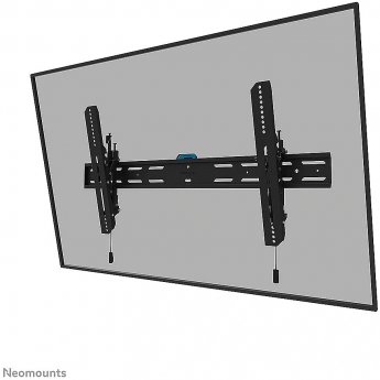 Newstar Wall mount, 43-86"