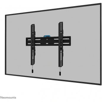 Newstar Wall mount (fixed), 32-65"