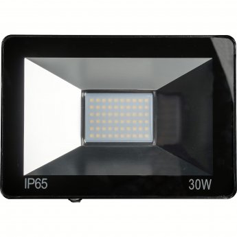 Omega LED floodlight 30W 4200K (43861)