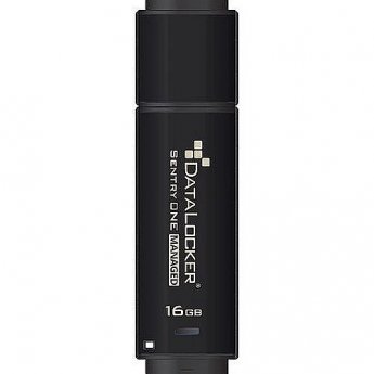 Origin Storage Sentry ONE, 16GB, Black