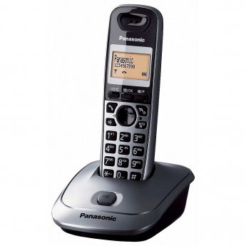 Panasonic KX-TG2511 Single Dect cordless telephone Gray