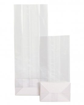 Plastmasas maisiņi ar kartona pamatni, 100x50x270mm, 50 gab