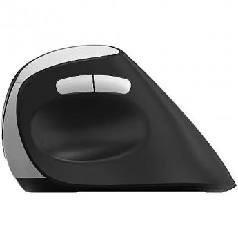 Rapoo EV250, Vertical