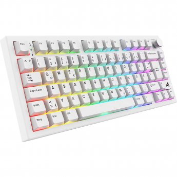 Sharkoon SKILLER SGK55W, white, DE