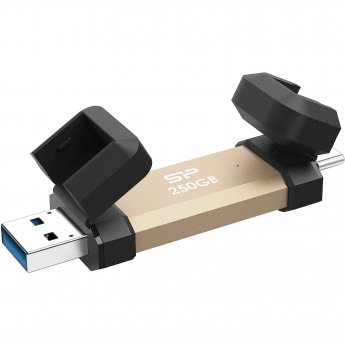 Silicon Power DS72 250GB Dual Gold