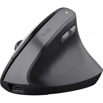 Trust Bayo II, Wireless