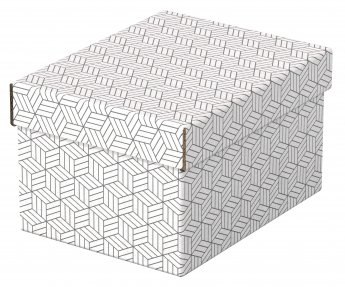 Uzglabāšanas kaste ESSELTE, ar vāku, 200x150x255, balta/pelēka (3gab./iepak.)