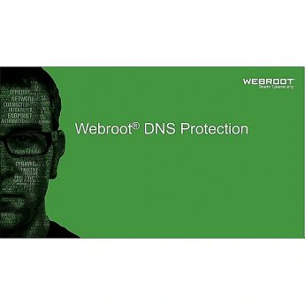 Webroot DNS Protection with GSM Console, 2 year(s), License quantity 10-99 user(s)